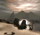 The Wounded Coast