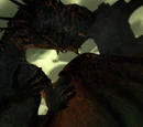 Wyvern