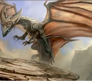 Wind Dragon