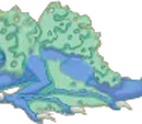 Lichen Dragon