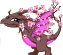 Sakura Dragon