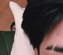 D.O.
