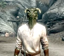 Derkeethus