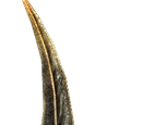 Nettlebane