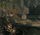 Dragon Seekers