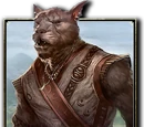 Khajiit (Online)