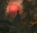 Ill Met By Moonlight