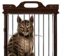 Gato Atigrado