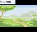 Zona Safari