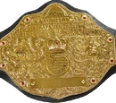 PCW World Heavyweight Championship