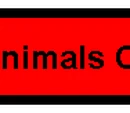 Funky Animals Co.