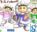 Ice Climber DS
