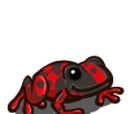 Red Dart Frog