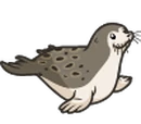 Ringed Seal