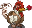 Casanova Rooster