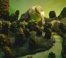 Pickle Island