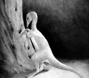 Albertonykus