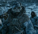 Qhorin Halfhand Season 2