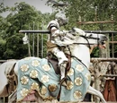 Knighthood