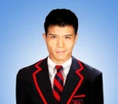 Wes (Warbler)