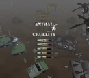 Animal Cruelty
