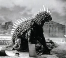 Varan