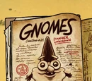 Gnomes