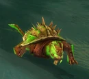 Sourbeak Carapace pourrie