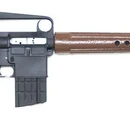 AR-10