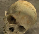 Skull/Halo 2