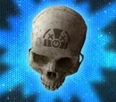 Skull/Halo: Combat Evolved Anniversary