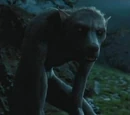 Loup-garou