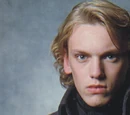 Gellert Grindelwald
