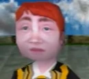 Hufflepuff Wizard Duelling Champion