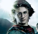 Harry Potter and the Goblet of Fire (film)