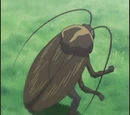 Hayate no Gotoku! Anime Episode List