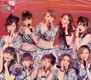 Dream Morning Musume Concert Tour 2011 Haru no Mai ~Sotsugyousei DE Saikessei~
