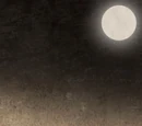 Larga Noche