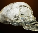 Crystal skull