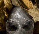 Crystal Skull of Akator
