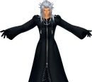Organización XIII