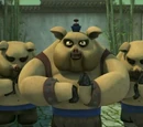 Bao
