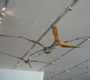 Pteranodon