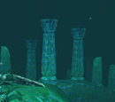 Darken Forest