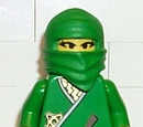 Female Green Ninja