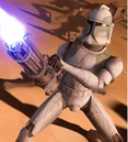 Buzz.jpg