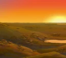 The Pride Lands
