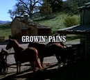 Episode 803: Growing Pains
