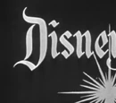 The Wonderful World of Disney