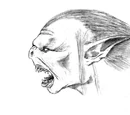 Orks